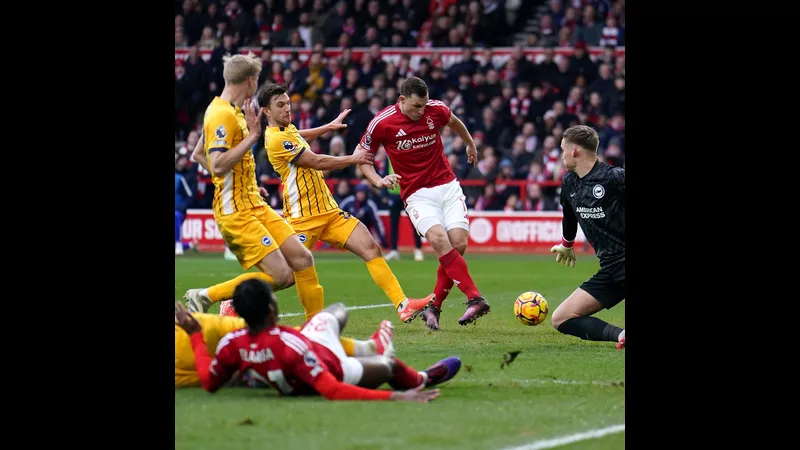 nottingham forest vs brighton google 5947 featured